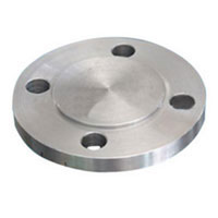 ss blind flange